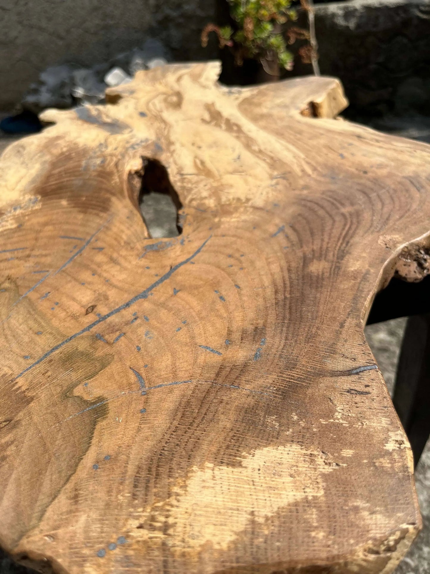 One-of-a-Kind Oak Root Coffee Table Anej Vidmar Woodworking