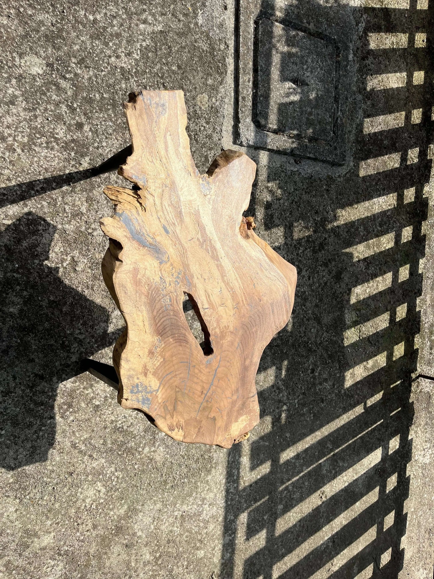 One-of-a-Kind Oak Root Coffee Table Anej Vidmar Woodworking